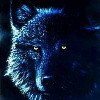 Guest_ragnaroks15