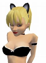 Guest_Ashtonb6
