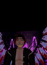 Guest_desrook