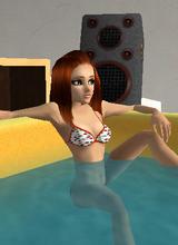 Guest_tinydancer147