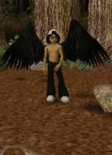 Guest_zeinlo