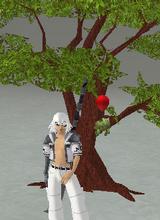 Guest_Zekieff