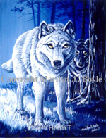 Guest_serenityssilverwolf
