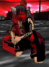 wildshadowjoker