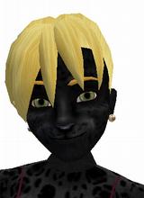 avatar picture