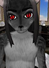 ZageTheWingedWerewol