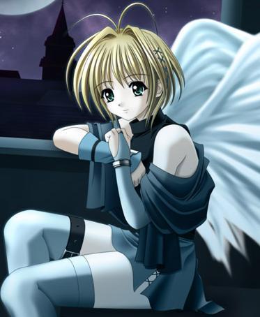 Guest_sango26