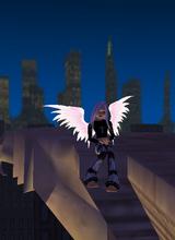 Guest_CoraFortuna