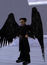 AuzziePhoenix
