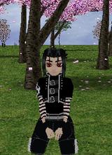 Guest_silvestere
