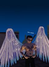 Guest_mickyfinn