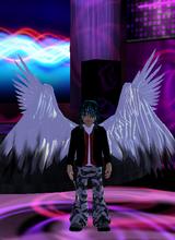 Guest_hutch222