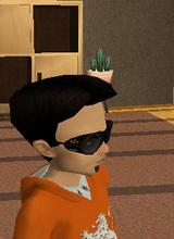 Guest_hss