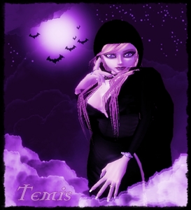 TeMiS26
