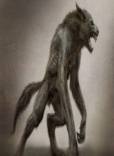 Guest_metalsteelwolf