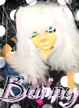 ThePlayboybunny