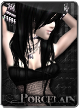 Porcelain