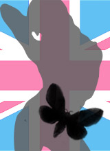 Moths