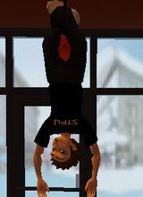 Guest_alexx467