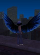 avatar picture