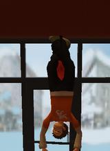 Guest_Hibiki858