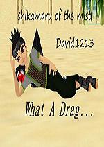 david1213