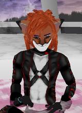 avatar picture