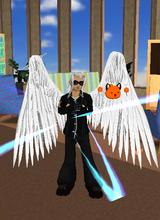 Guest_Sleave