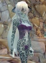 Kaytkat