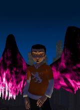 Guest_hiloguy