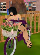 Guest_yanupanda