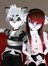 Guest_zolo3527