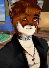 Guest_TapNeff