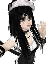 Kitten