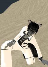avatar picture