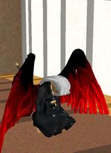 Guest_ShuriD