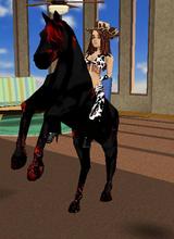 cowgirl2000horses
