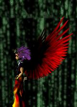 Guest_cerebos
