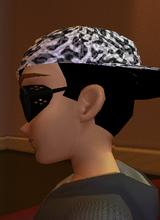 Guest_Zebrach