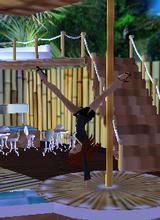 Guest_Ailani34