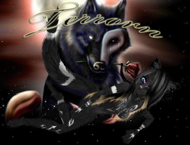 Terrorn