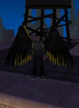 Guest_DarkFang8000