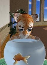 Guest_bratztara