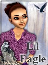 LilEagle16407