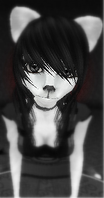 Guest_DarkRosey