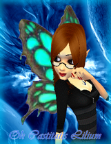 Midnightkitten142009