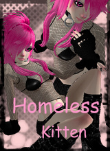 HomelessKitten
