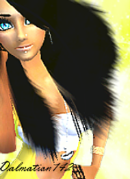 Guest_dalmation142