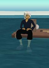 avatar picture
