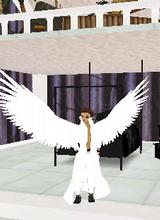 Guest_eddyslatter